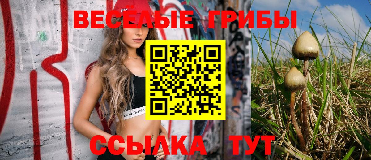 Галлюциногенные грибы прущие грибы  Вход с VPN  Сергиев Посад 