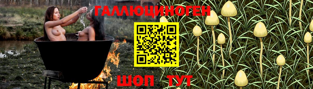 Галлюциногенные грибы мицелий Сергиев Посад